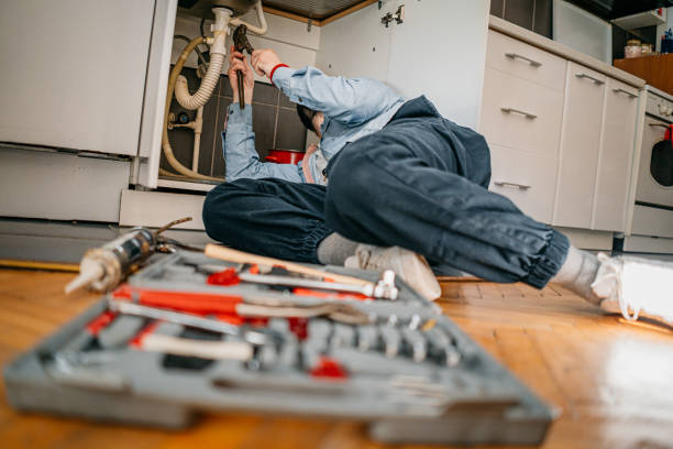 Best Residential Plumbing Services  in Wolcott, IN
