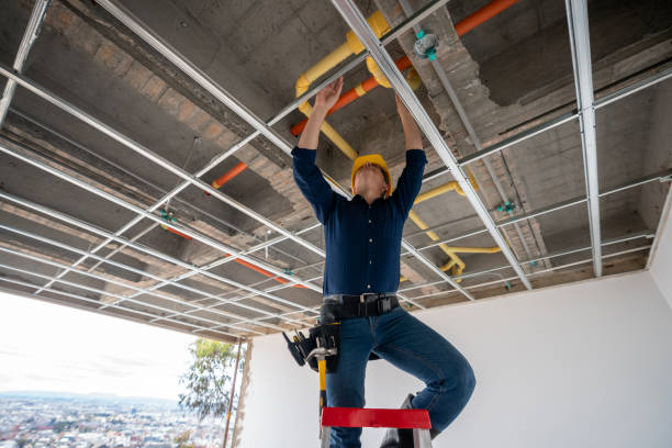 Best Emergency Plumber  in Wolcott, IN