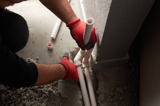 Best Clogged Drain Plumber  in Wolcott, IN