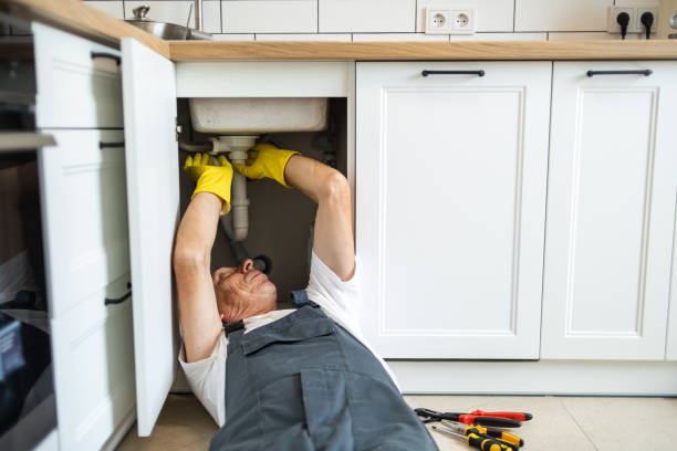 Best Commercial Plumbing Services  in Wolcott, IN