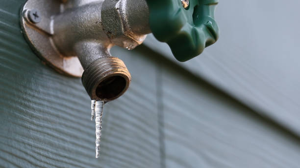 Best Plumbing Repair Near Me  in Wolcott, IN